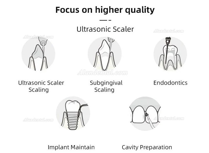 VolDent Type2 Dental LED Ultrasonic Scaler Compatible with EMS & Mectron